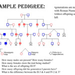 PPT Pedigree Analysis PowerPoint Presentation Free Download ID 2271913